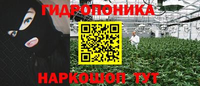 гидра Ленинск-Кузнецкий
