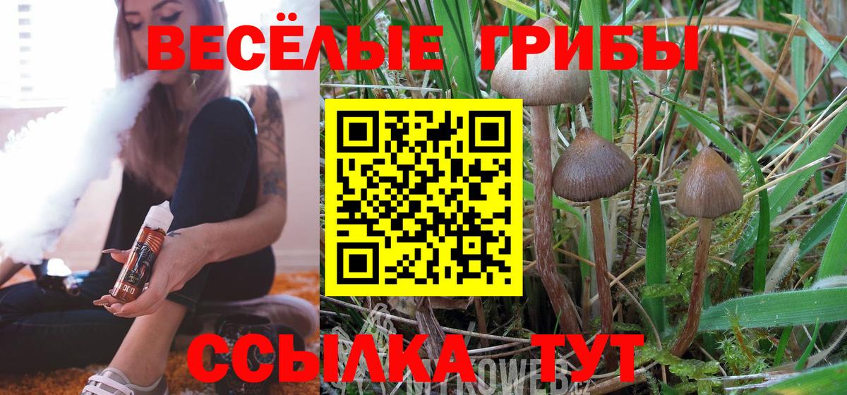 Междуреченск  Галлюциногенные грибы MAGIC MUSHROOMS  Вход с VPN 
