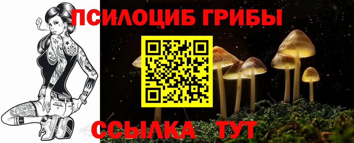 Галлюциногенные грибы Psilocybine cubensis Междуреченск